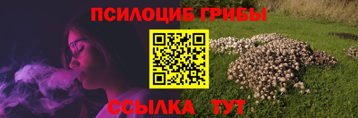 Галлюциногенные грибы MAGIC MUSHROOMS Гусь-Хрустальный